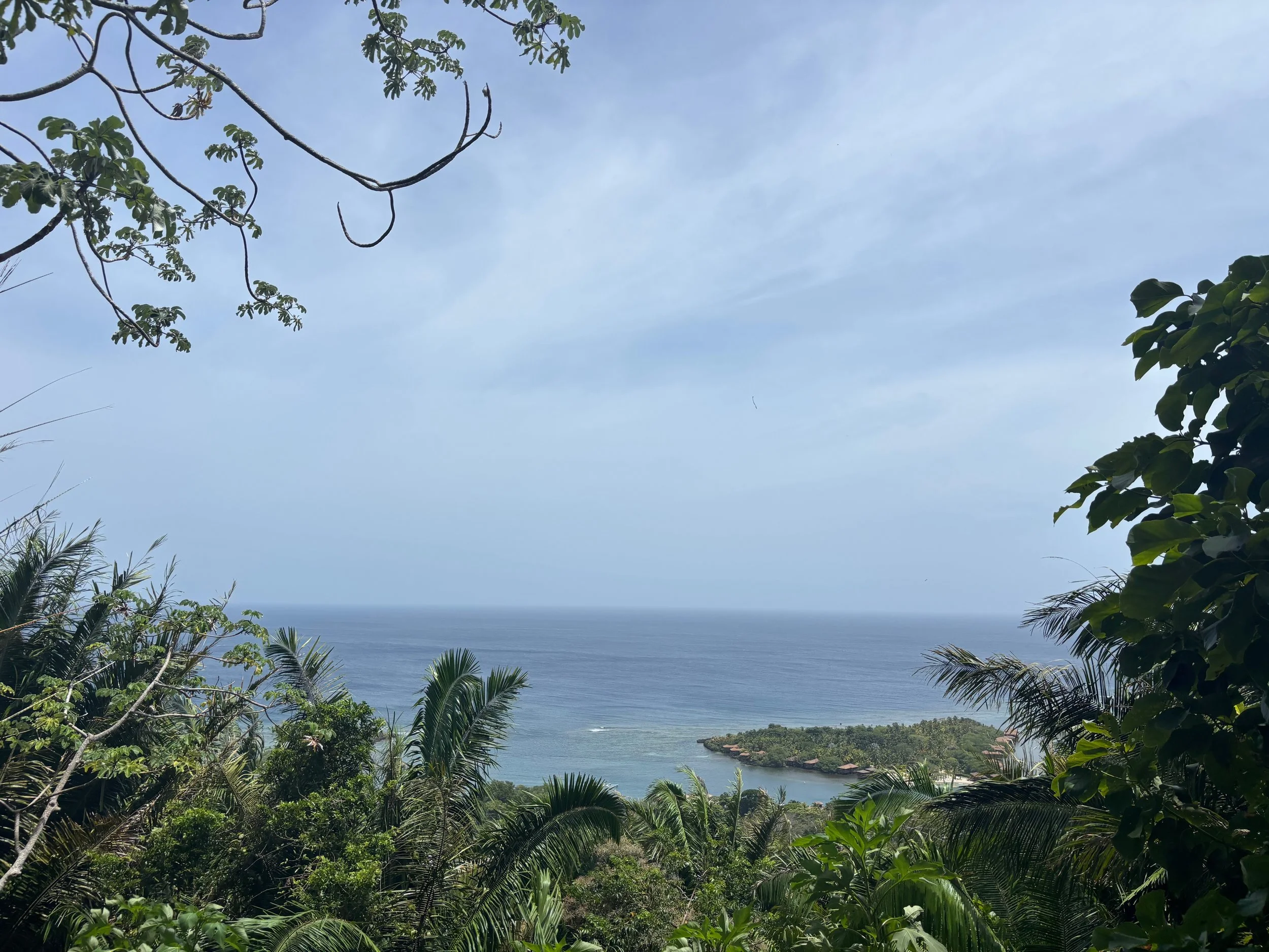 A view of the ocean framed by tropical green trees and plants on a bright, partly cloudy day.