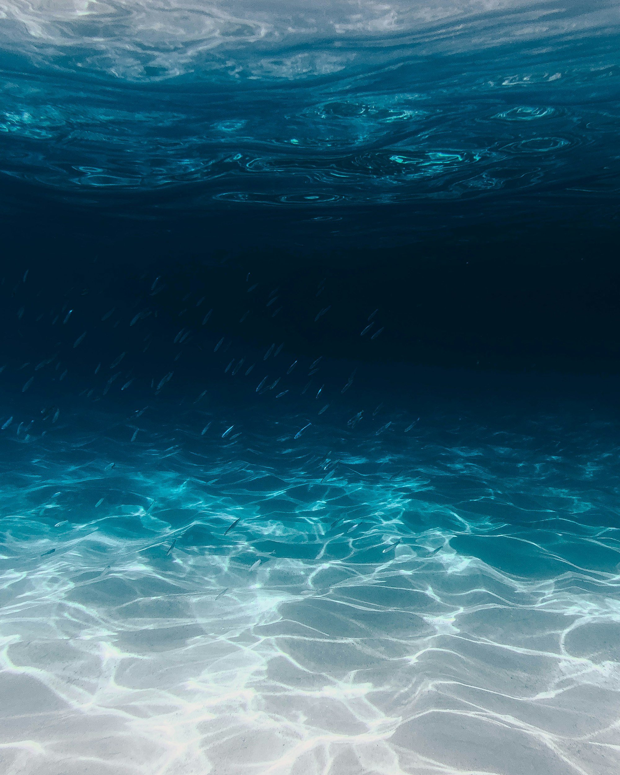 Blue Mind: How the Ocean Heals