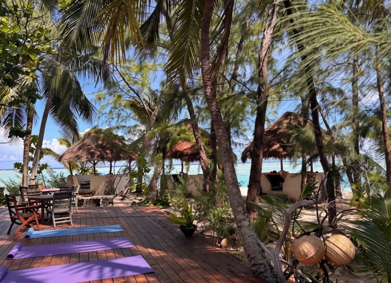 Daily yoga and meditation practices on our spacious deck