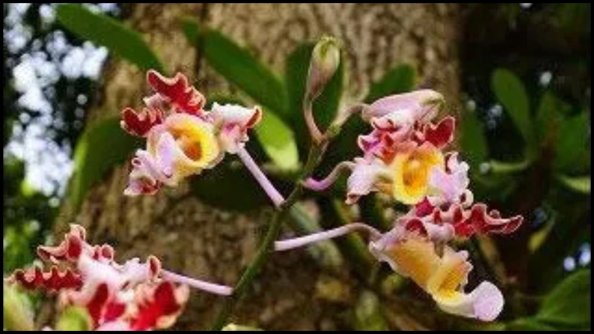 Explore the local botanical gardens for a guided hike & journaling session or glide through mangrove swamps on a self-guided kayak tour.