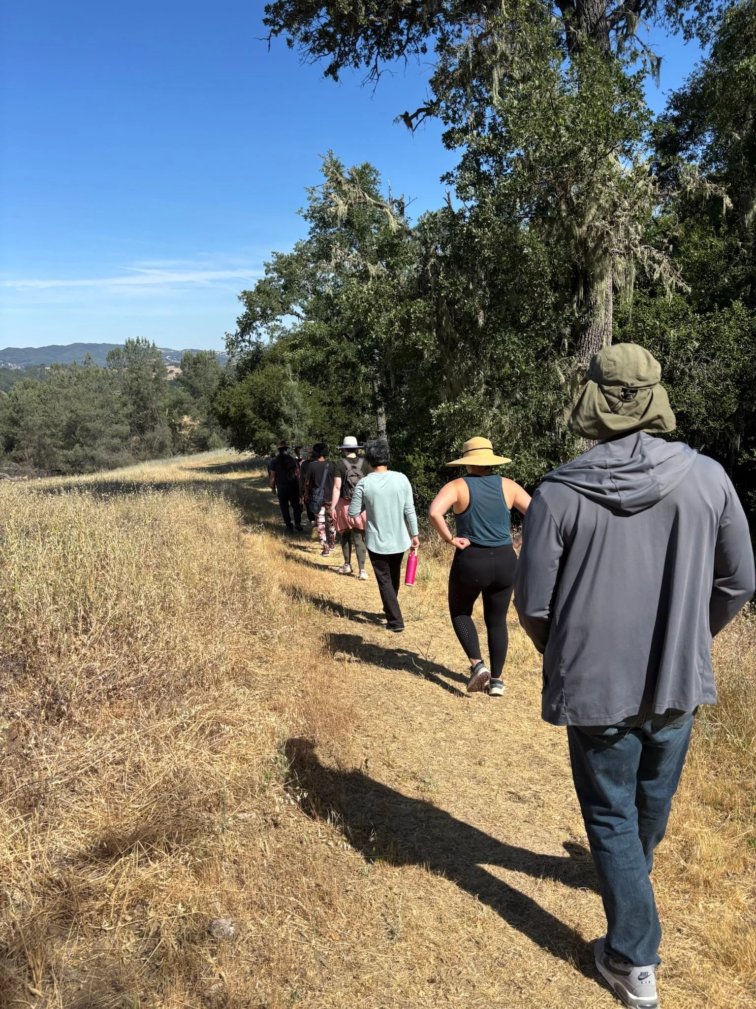 A group of people walking on a dirt trail surrounded by trees and dry grass.