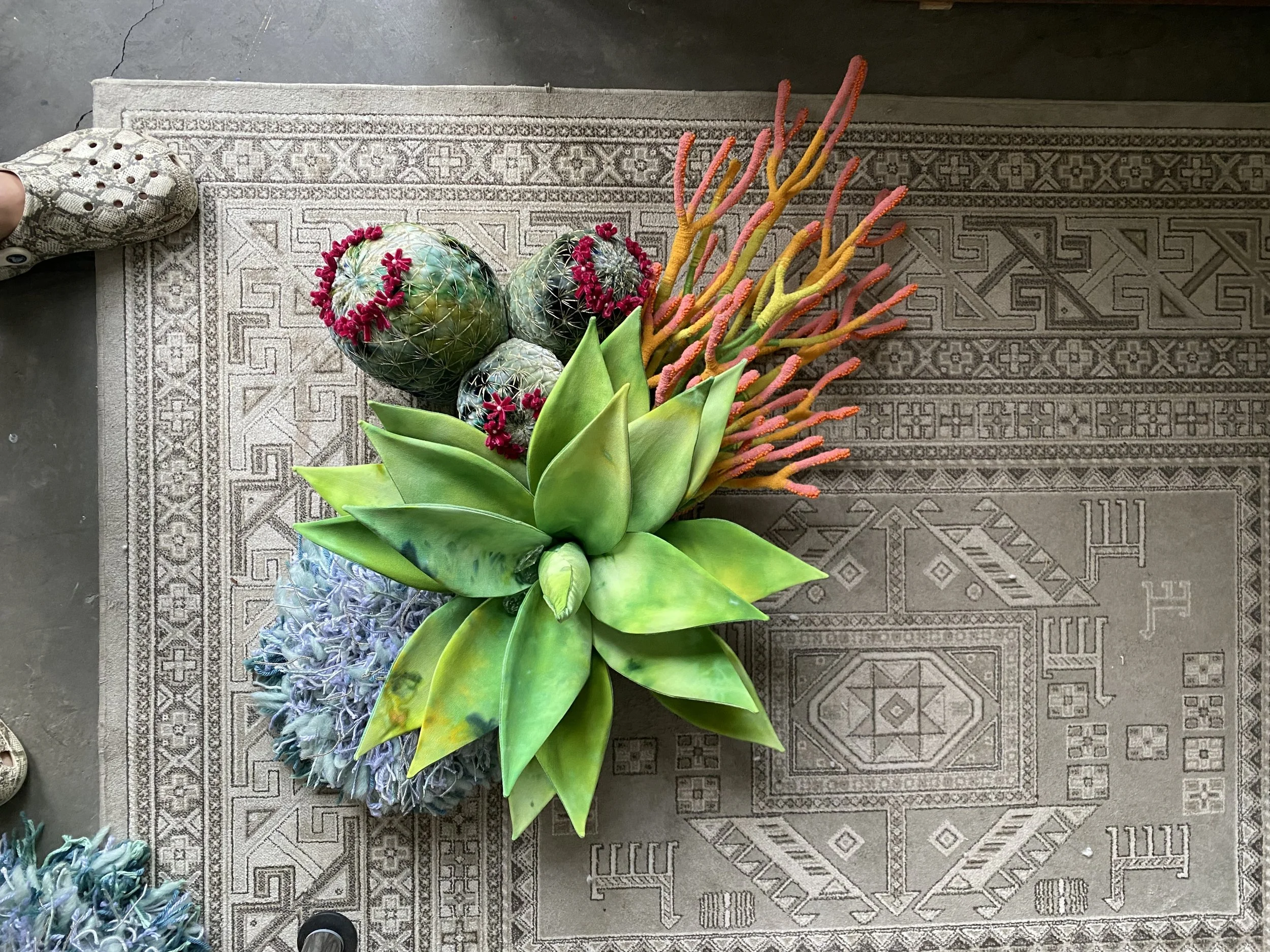 proposed collection for client 