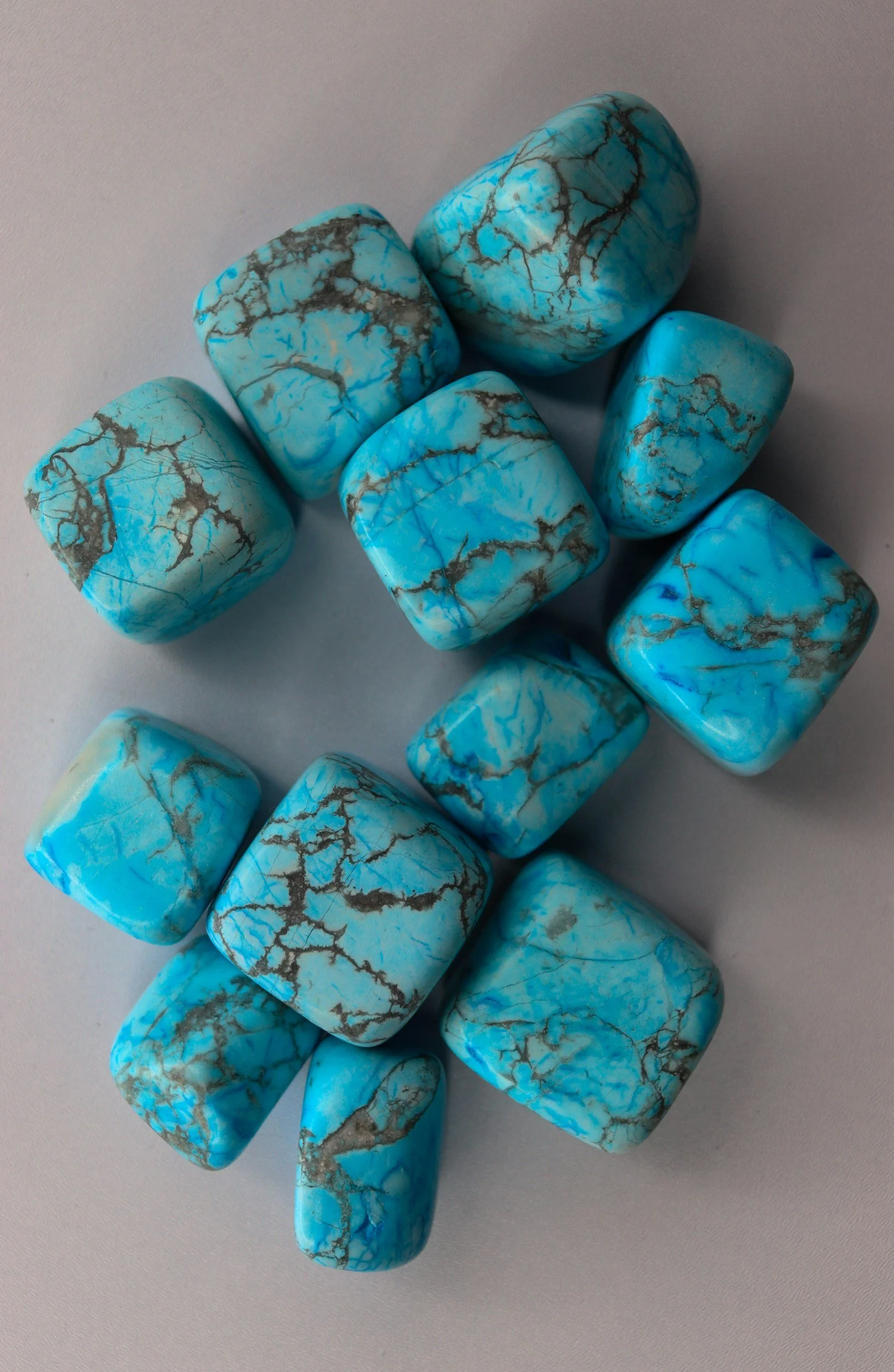 Group of polished turquoise stones with black veining on a light grey surface.