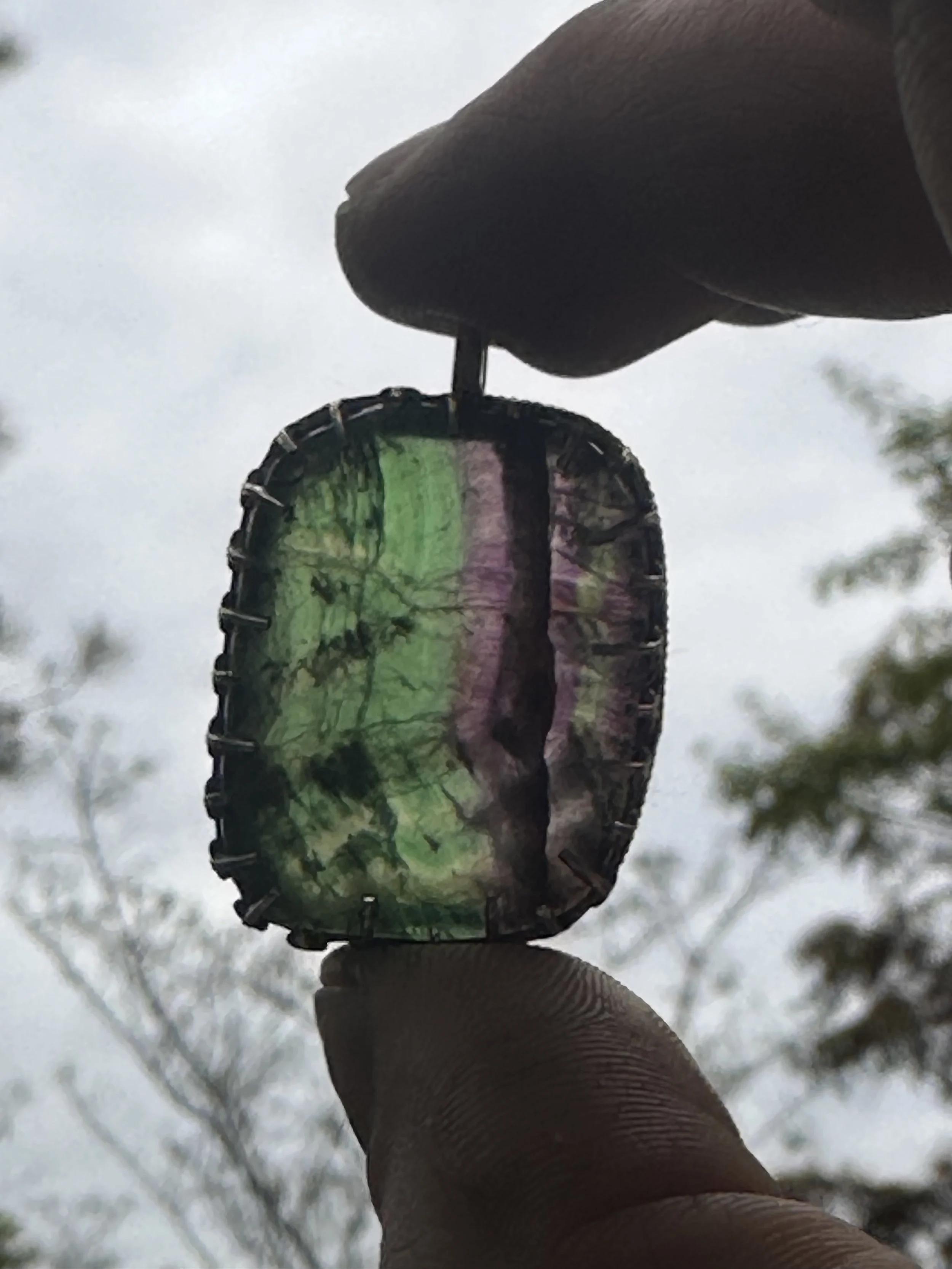 Person holding a shiny, iridescent butterfly-shaped object with a black border outdoors during daytime, with cloudy sky and blurred trees in the background.