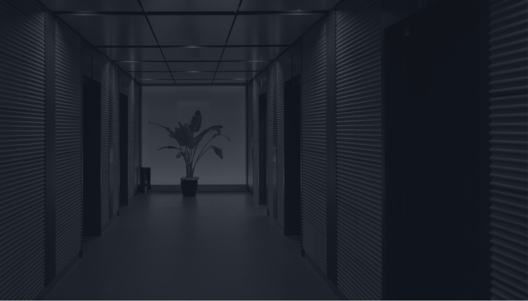Dark corridor with closed doors on each side and a large potted plant at the end of the hallway.