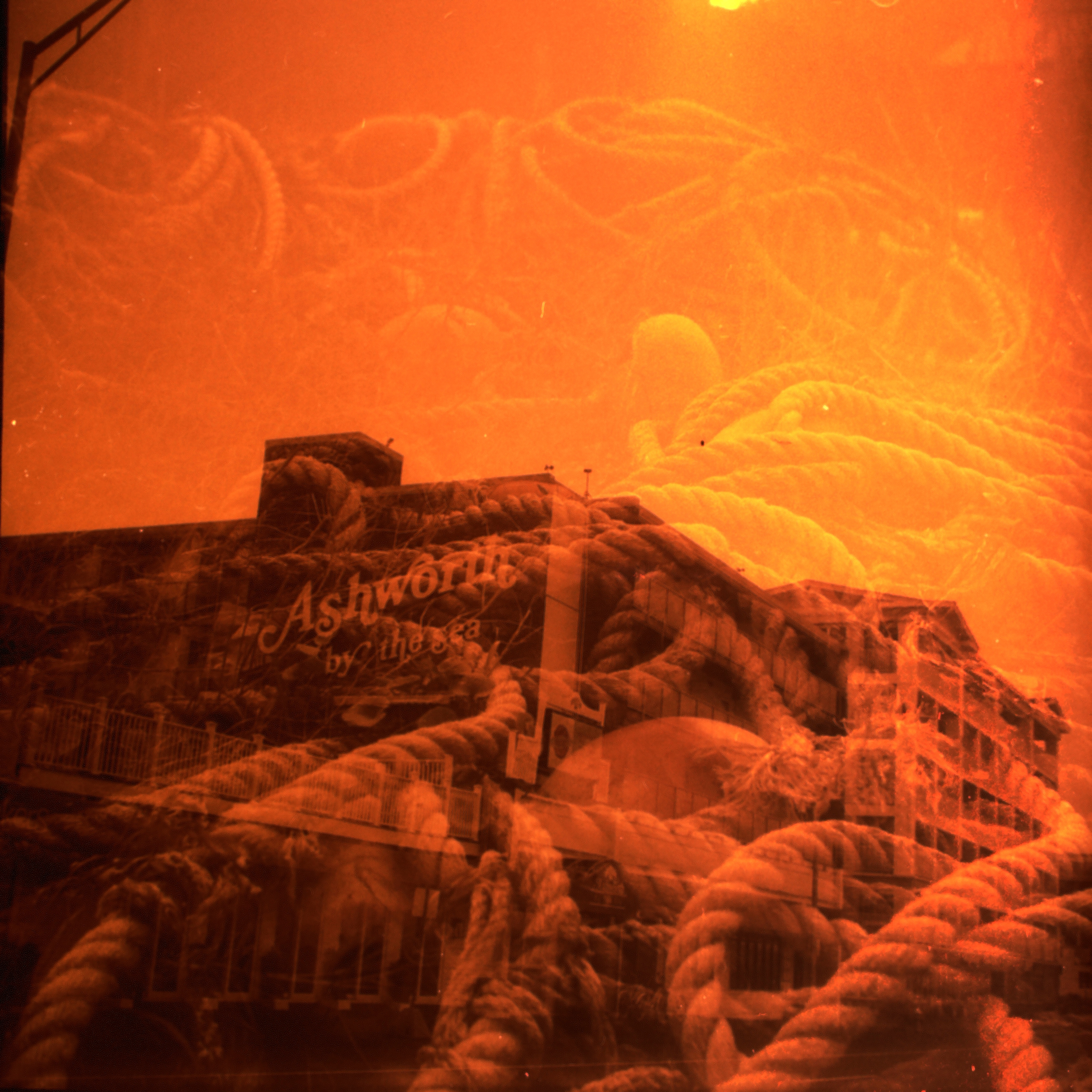 IMG00770.png