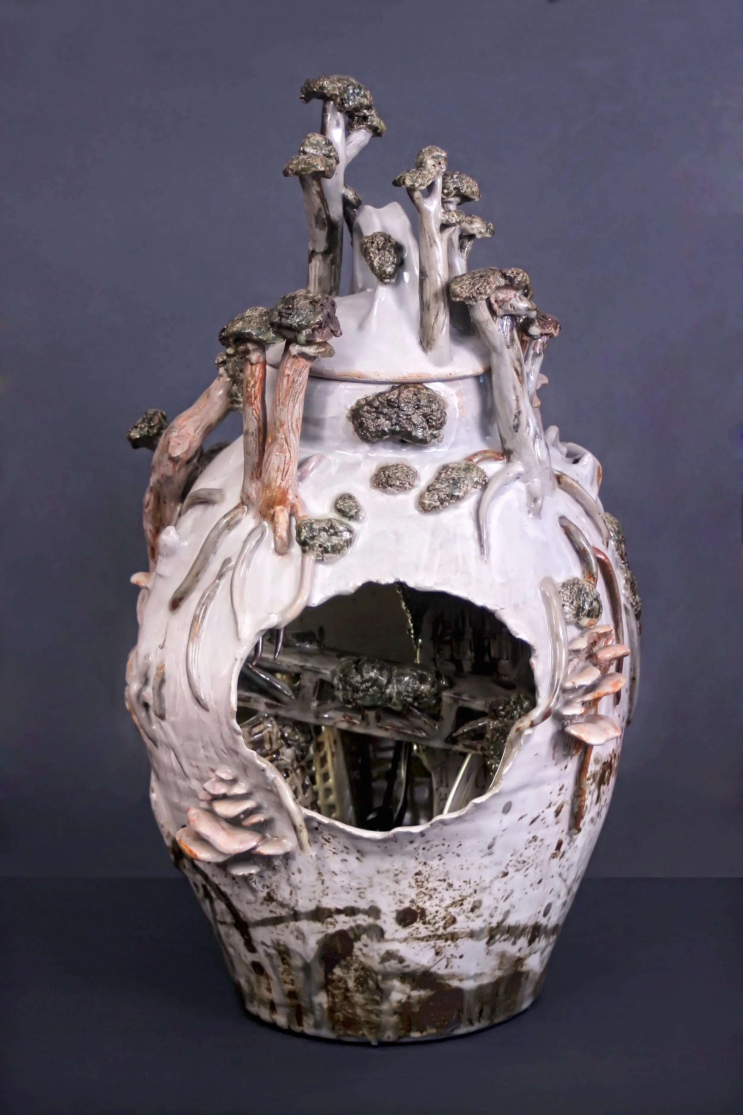 HIGH QUALITY IMG_5824.jpg