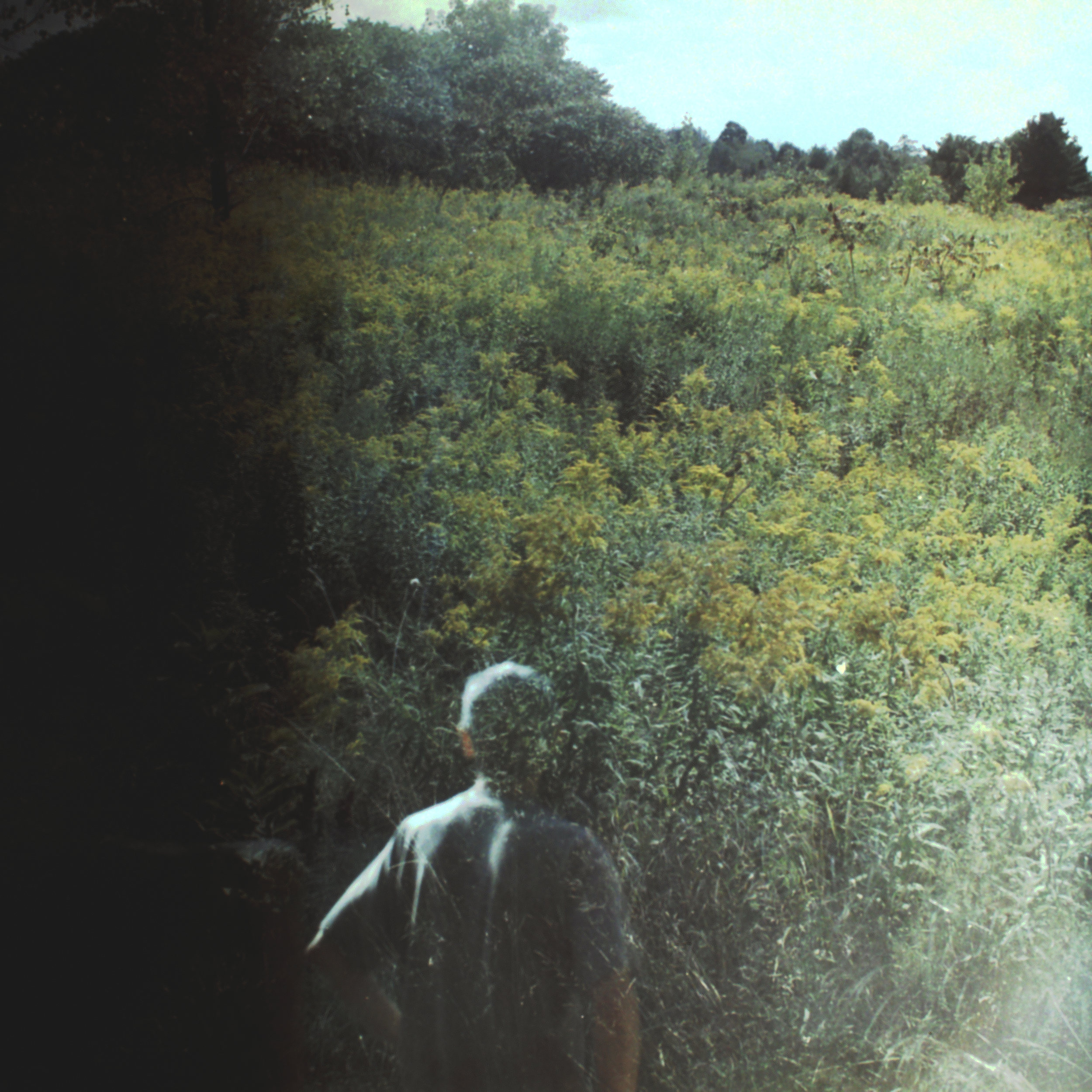 IMG00826.png