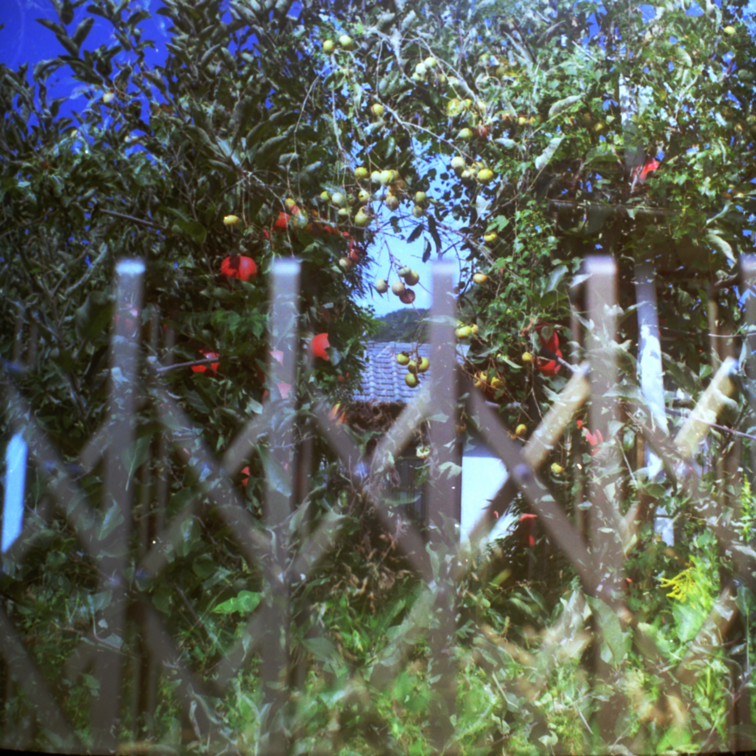 IMG00792.png