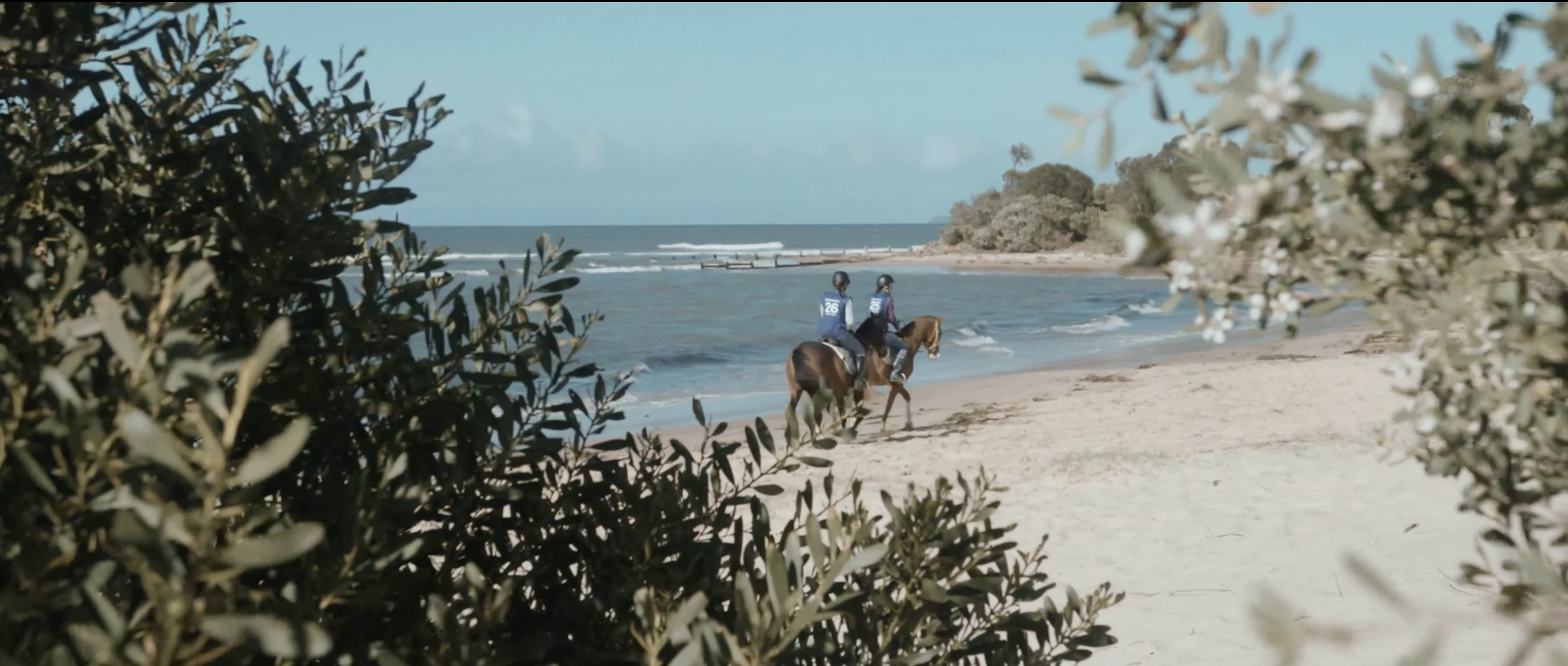 Screenshot 2026-02-19 at 8.00.11 AM.png