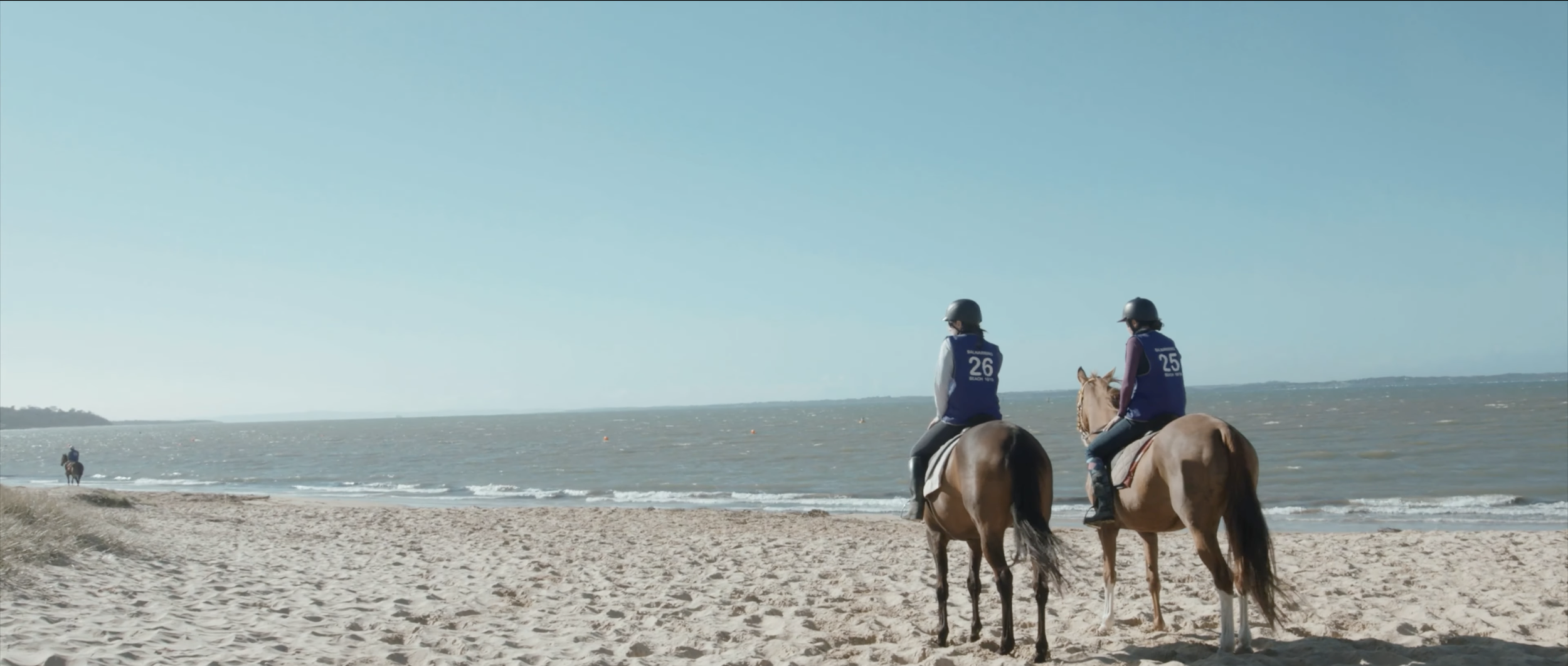 Rowville - Horse Trailers (Brand Story - Producer | Shooter)