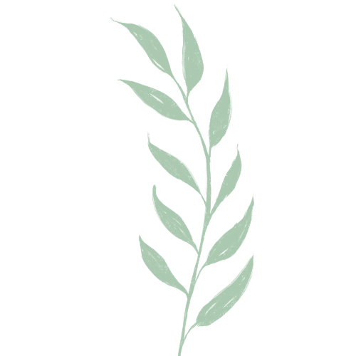 Julia Matthews Psychotherapy leaf logo 