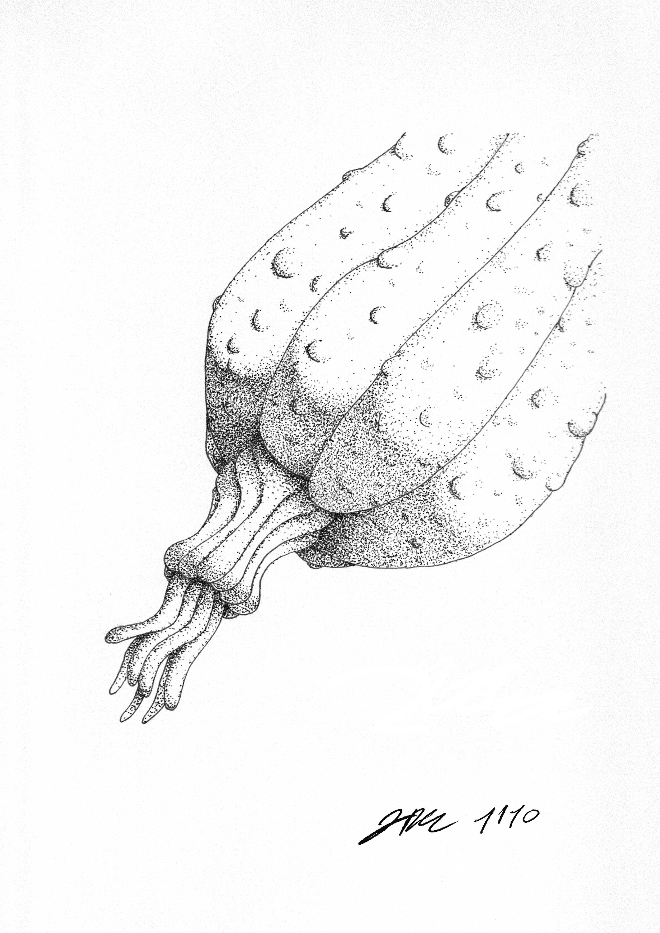 Bulb (print ready) png.png