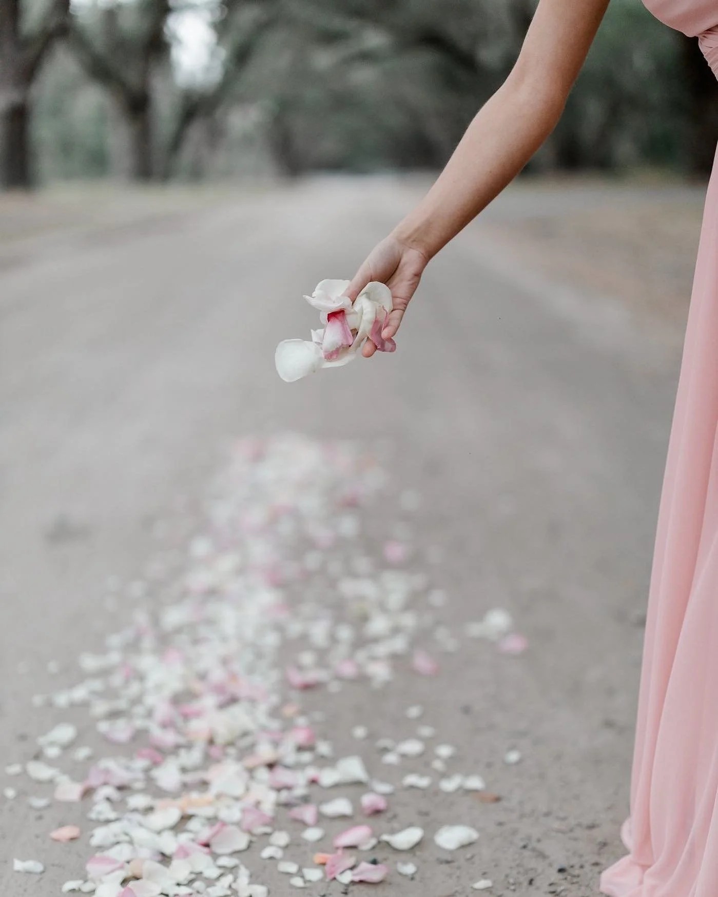 A person in a pink dress is holding flower petals over a dirt road, where more petals are scattered along the ground.