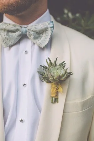 design studio south shoot-succulent bout2.jpg