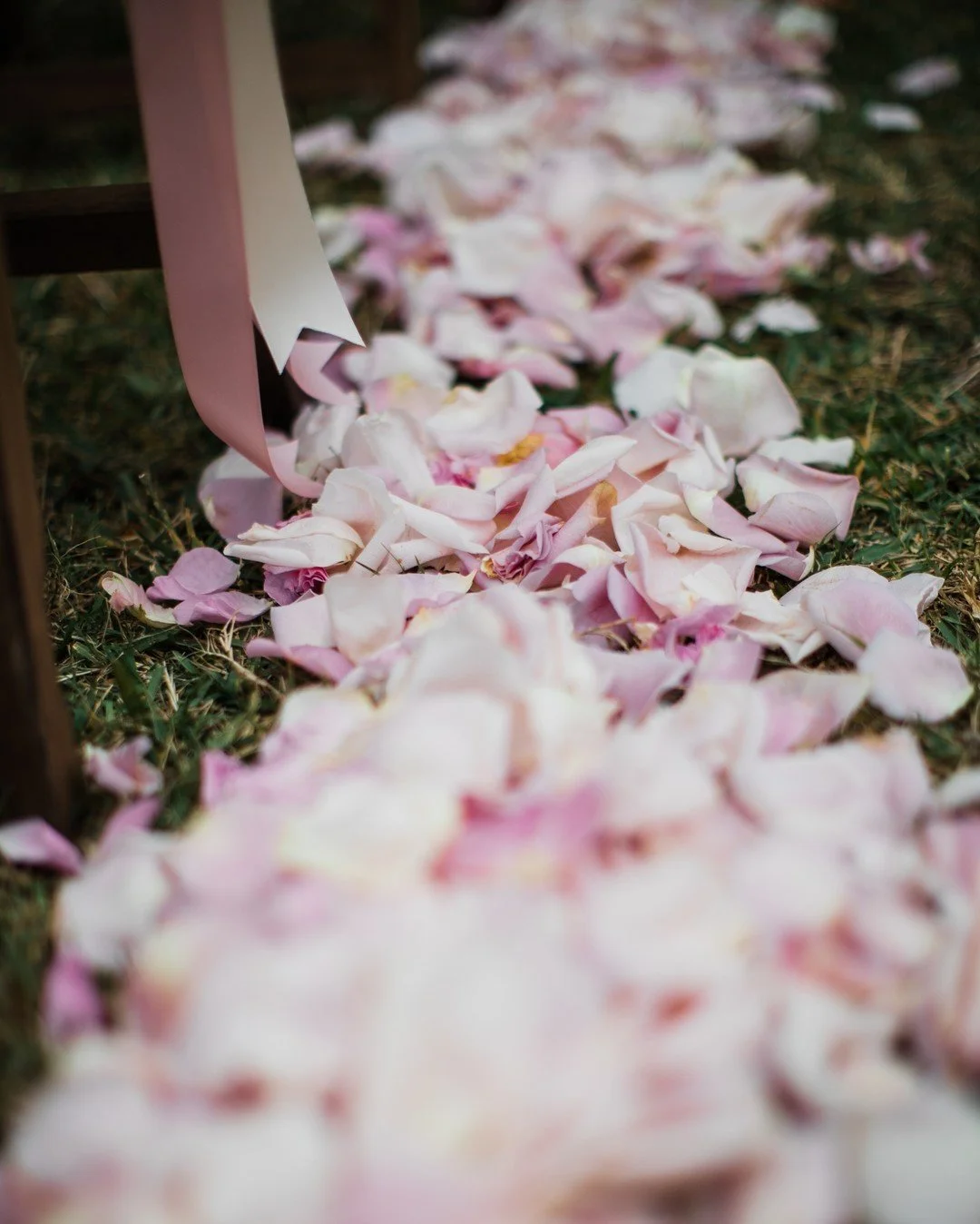 Rose Petals along a wedding aisle