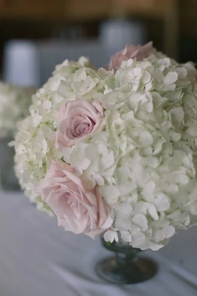 hydrangea and roses_alexis sweet photography.jpg