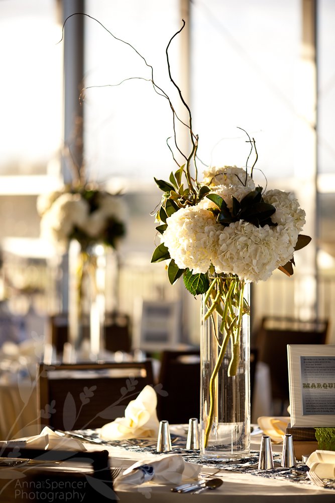 Anna and Spencer Photography