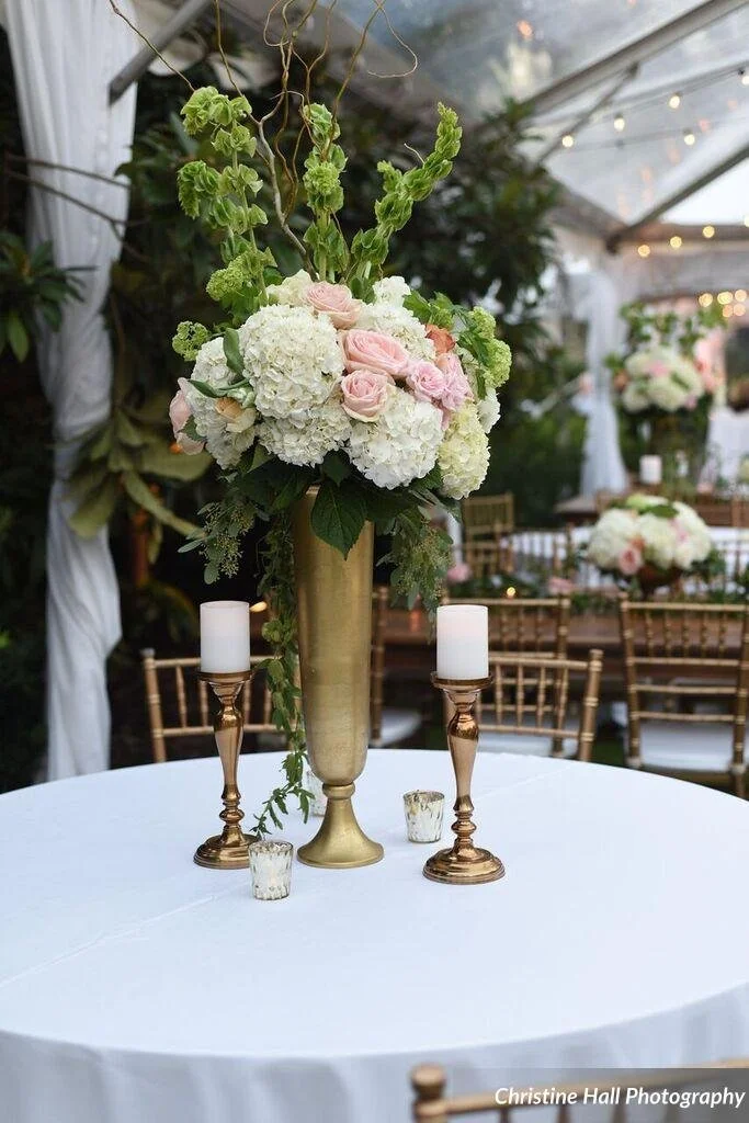 Christine Hall Photography