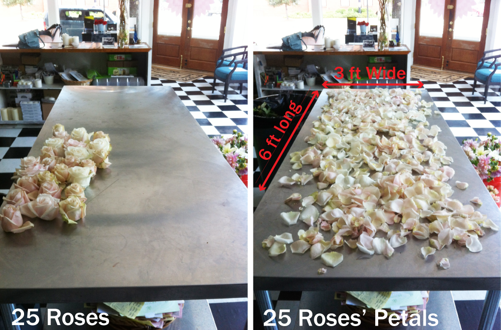 25 roses petals.JPG