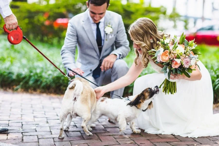 A bride and groom at a wedding kneeling outside on a brick path, petting two small dogs, with the bride holding a bouquet of flowers.