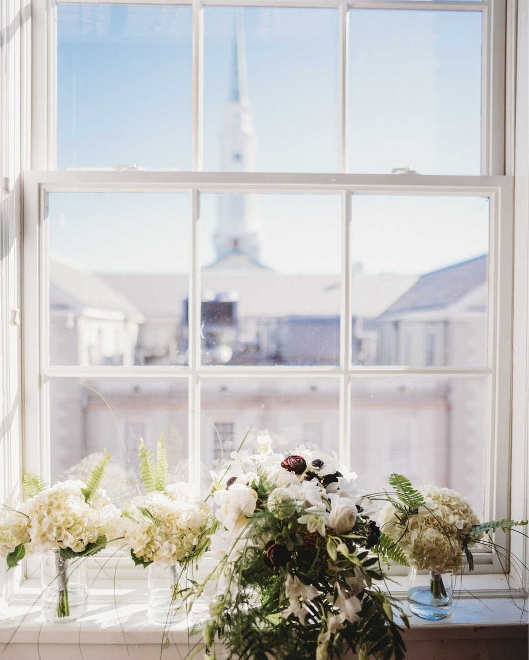A windowsill with multiple vases of white flowers, with a clear sky and buildings visible outside.