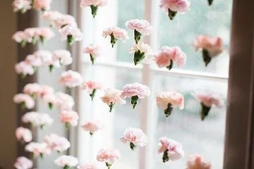 Pink carnations attached to glass window panes with green leaves in a bright room.