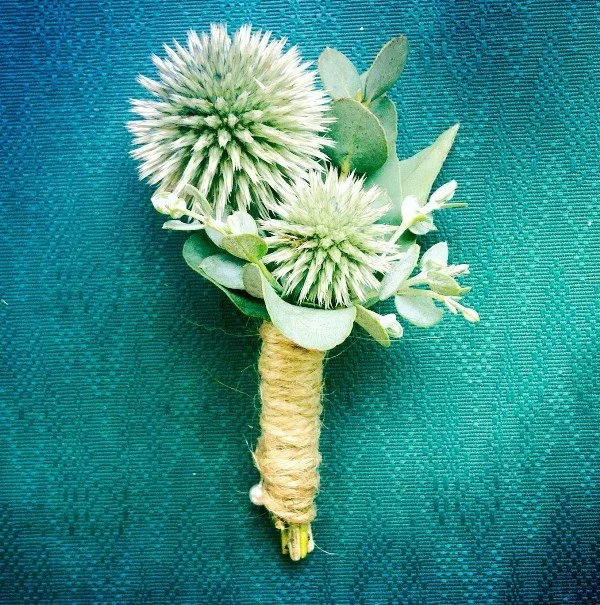 A boutonniere made with two large white and green globe thistle flowers, green eucalyptus leaves, and small white flowers, with the stems wrapped in twine.