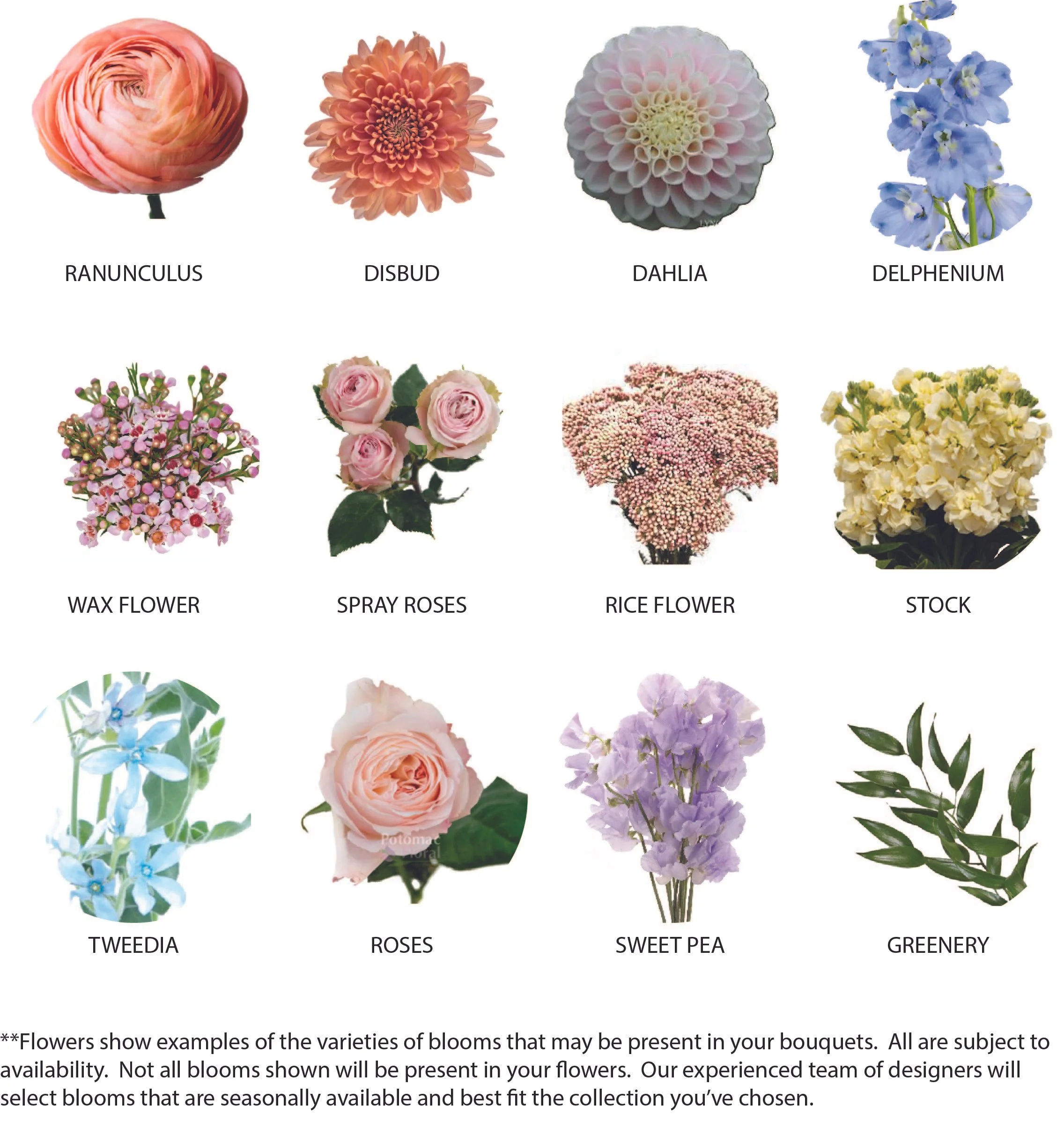 SPRING COLLECTION.jpg