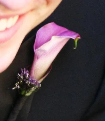 purple calla thumb.jpg