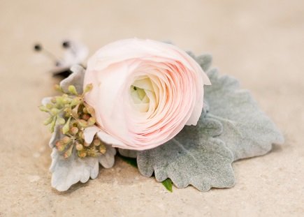 A pink and white ranunculus flower with gray-green leaves and small buds on a neutral background.