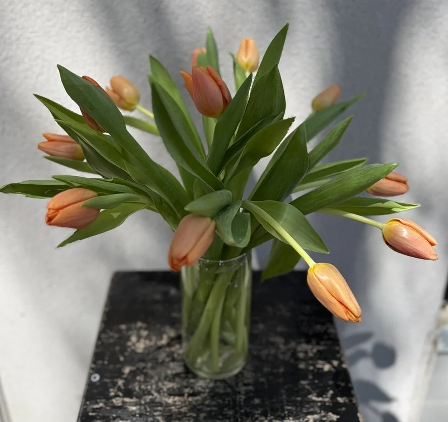 Tulips in Glass Vase