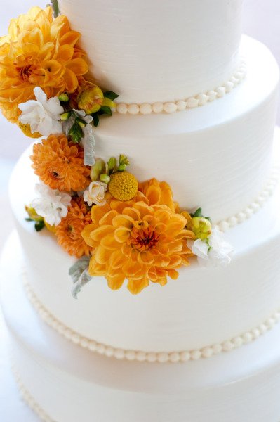 Nate Henderson | Open Light Studio