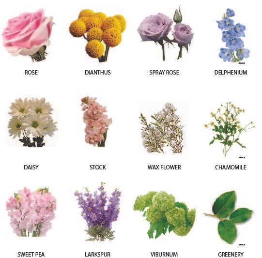 A collection of twelve different flowers, including a pink rose, yellow billy balls, lavender spray roses, blue delphinium, white daisies, pink stock, white wax flowers, yellow chamomile, pink sweet peas, purple lavender larkspur, green viburnum, and green greenery leaves.