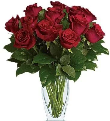 dozen red.jpg