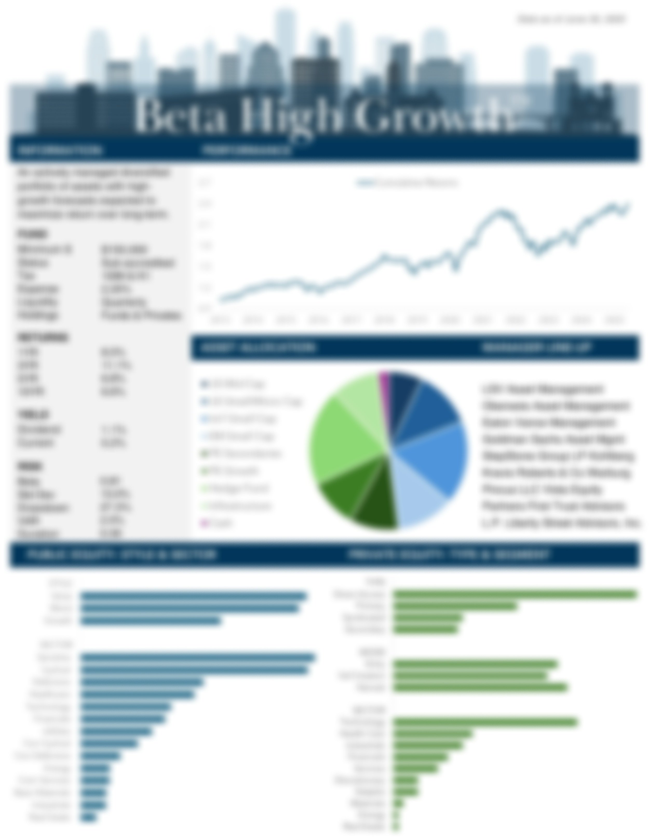 blurred image of Beta High Growth™ factsheet
