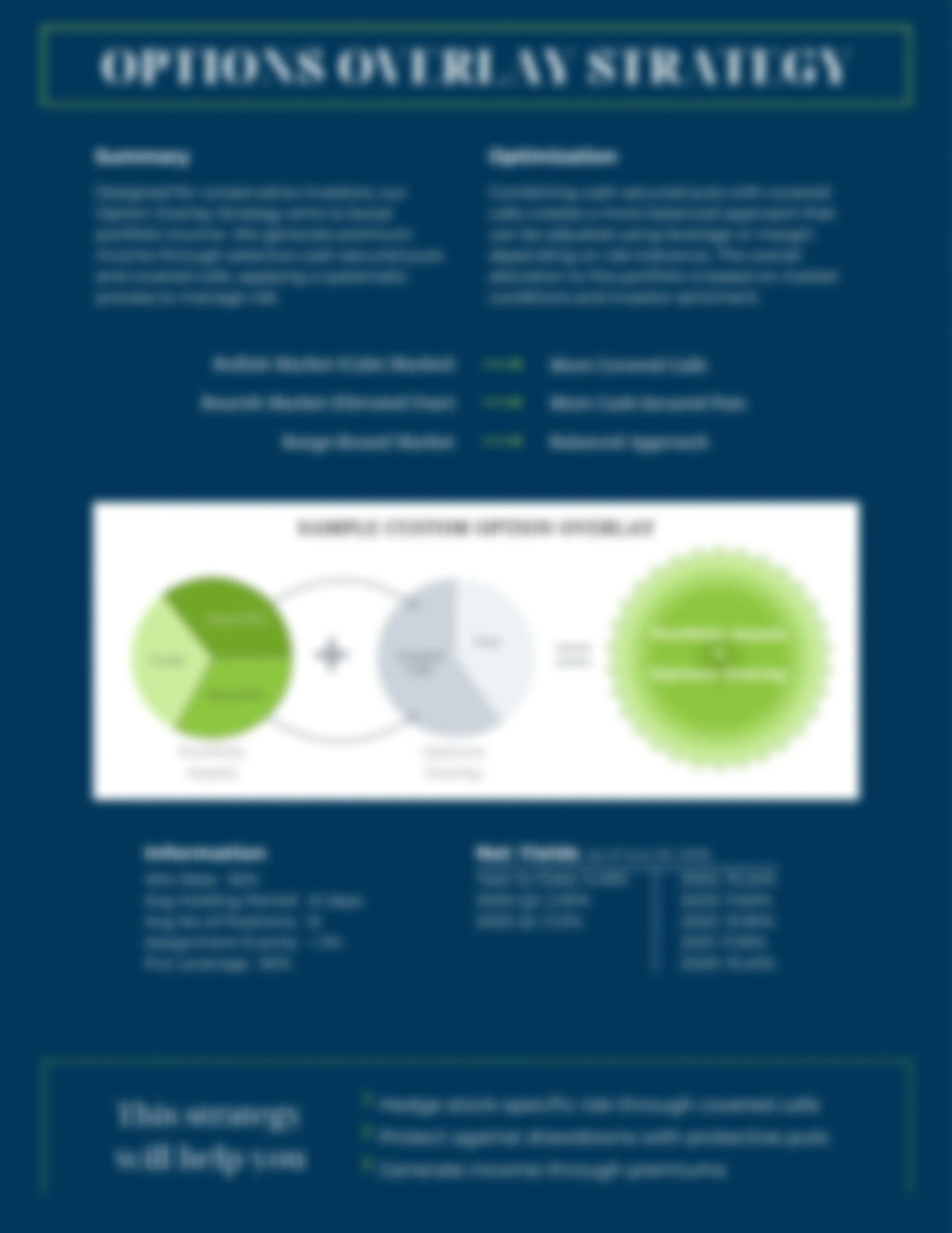blurred image of Options Overlay factsheet