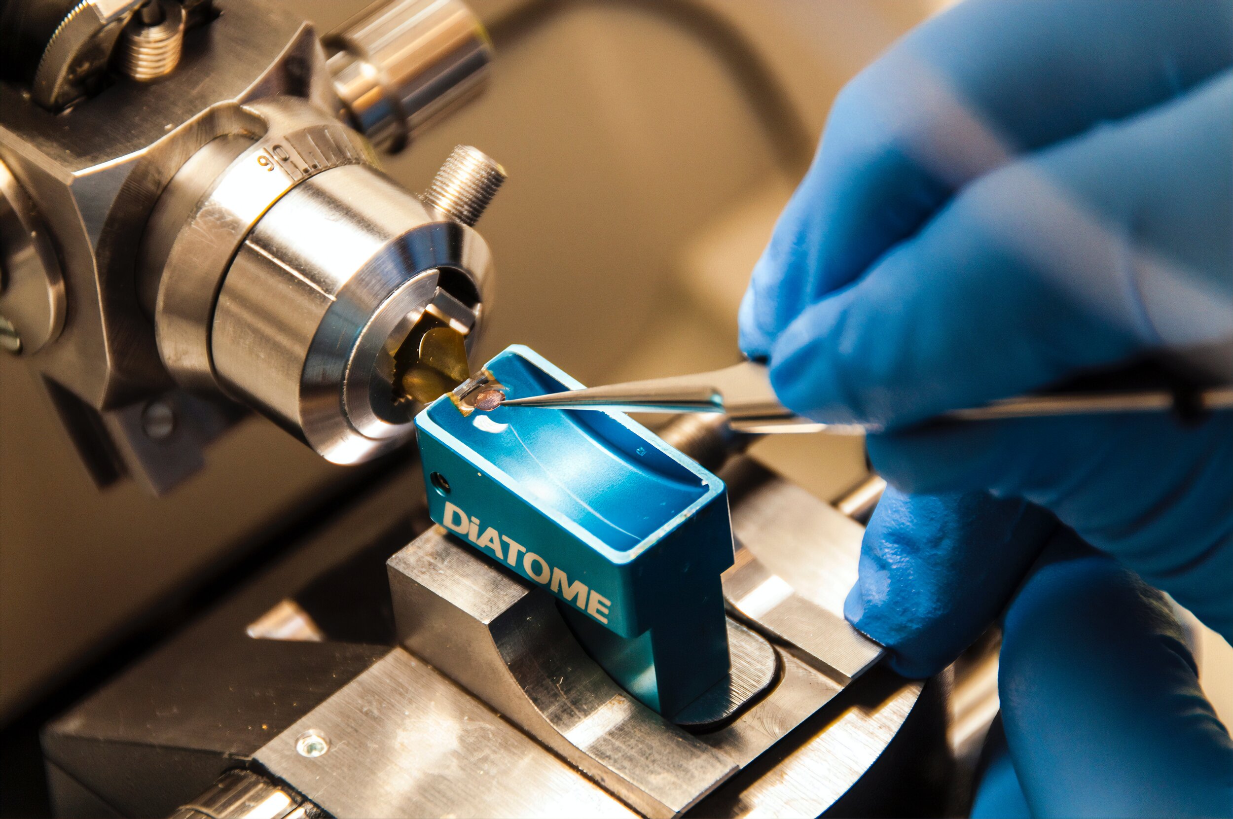 Beta Bytes: Week of January 16th