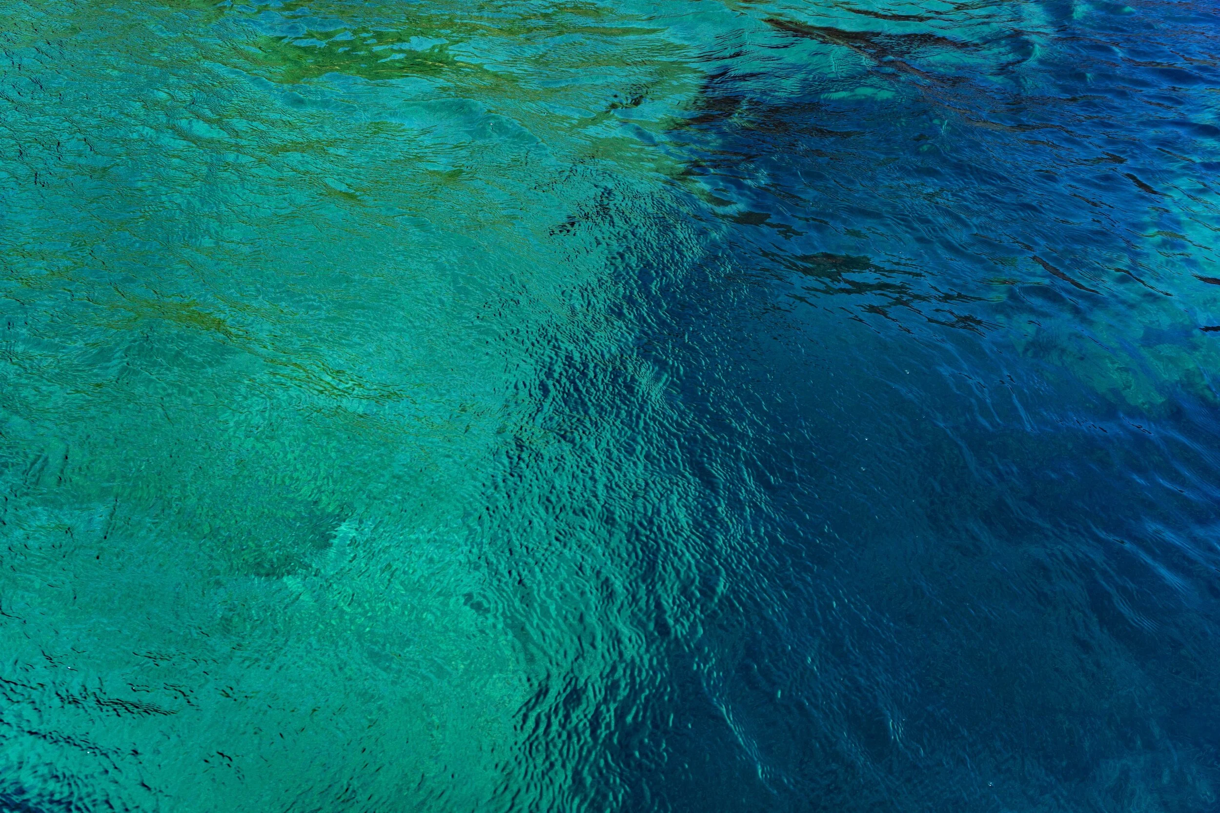 Photo by Daria Nepriakhina on Unsplash