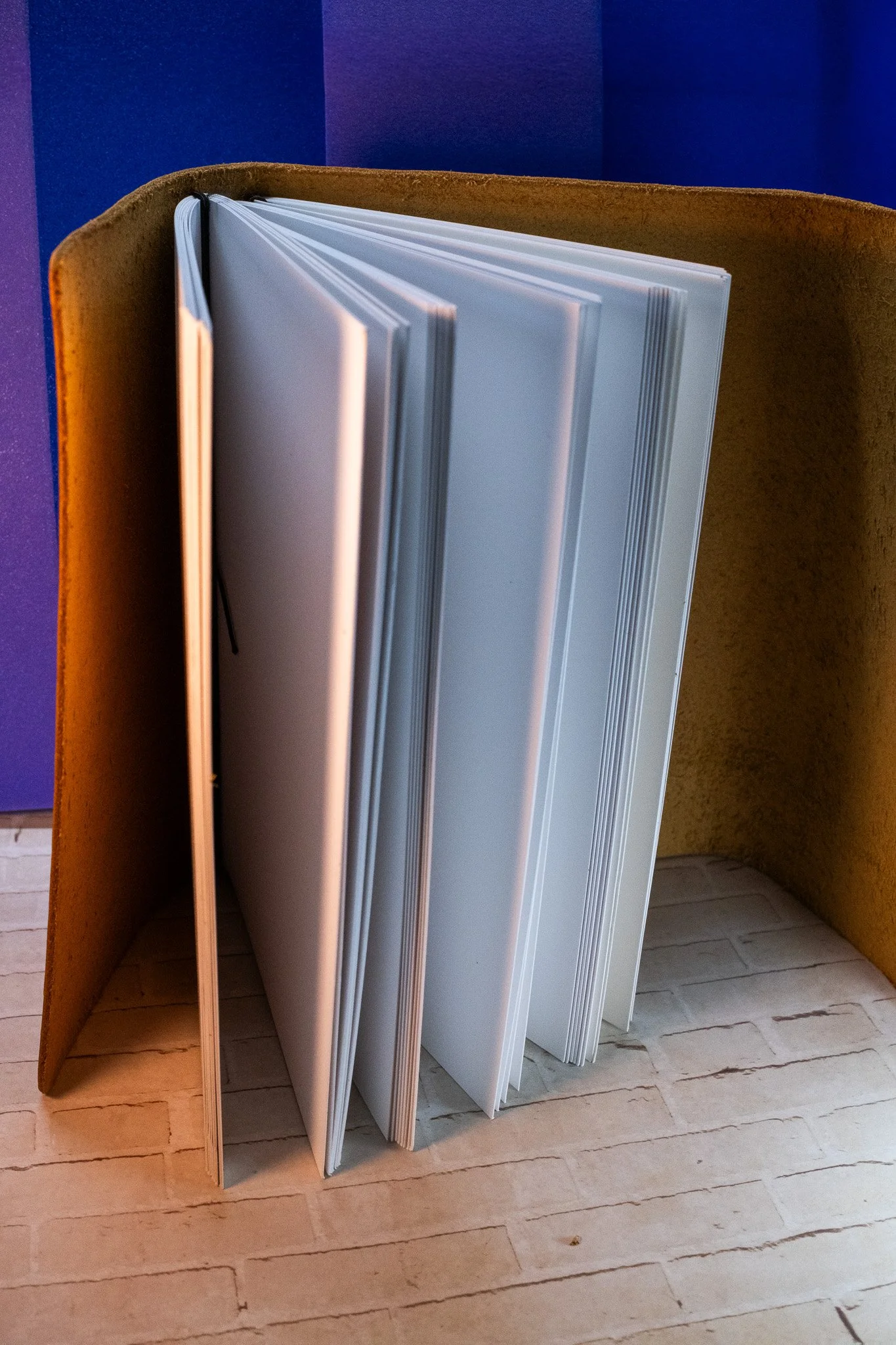 DSCF5643.jpg