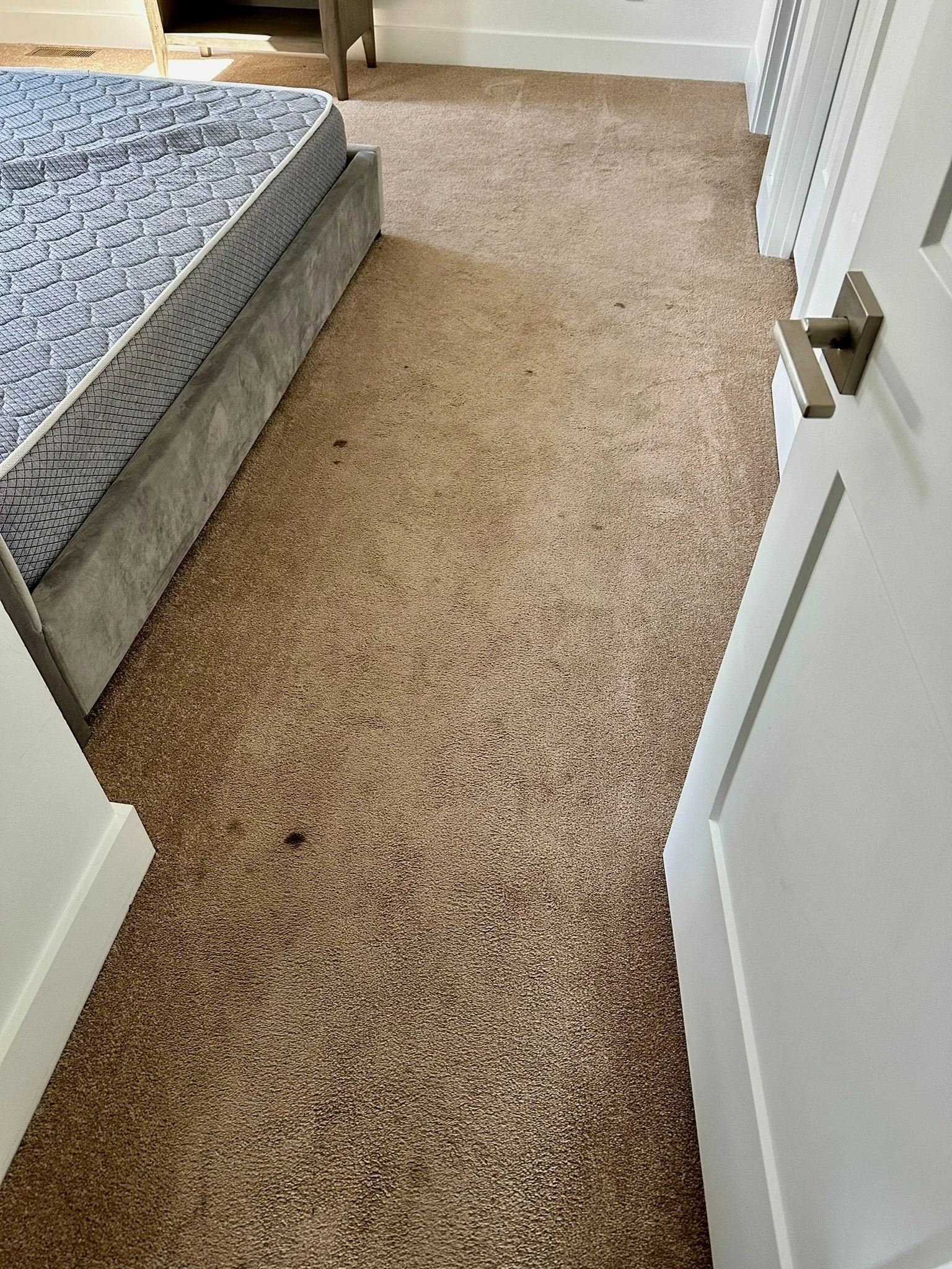 Carpet Before.JPG