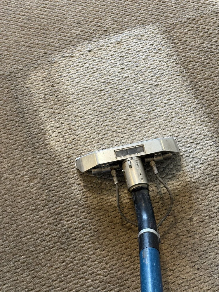 Truck-mounted carpet cleaning in a Bozeman home
