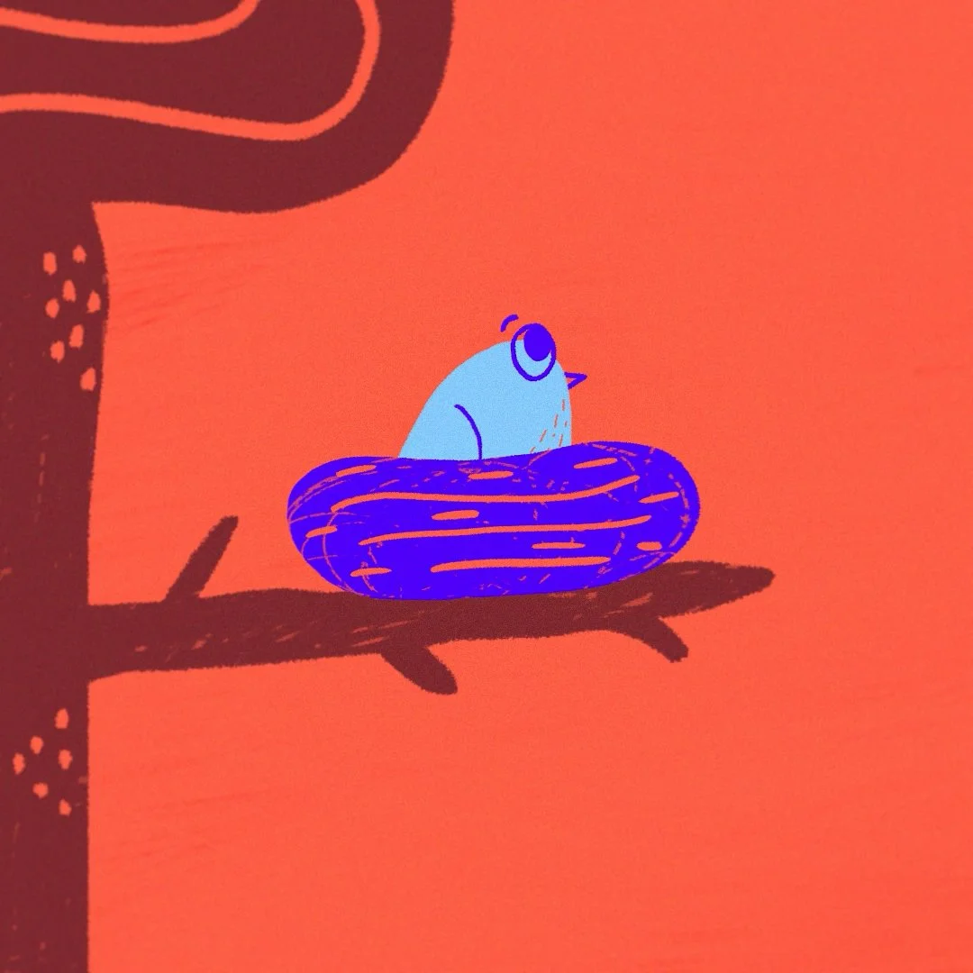 Quête - Animation