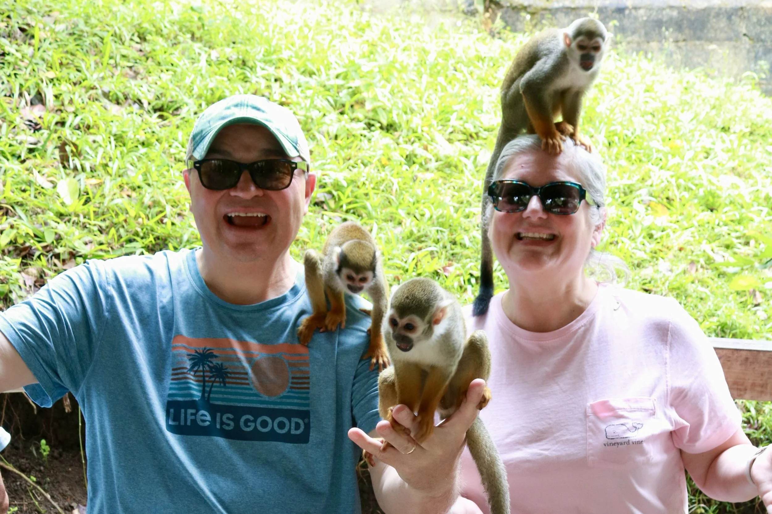 Monkeyland Pop Adventure in Puerto Plata, Dominican Republic: Is It Worth It?