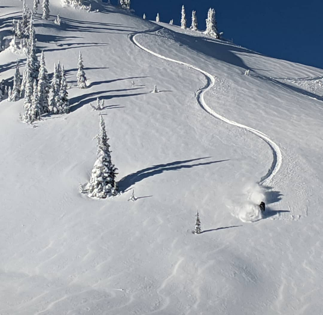 Good powder snowmobiling up Ingersol Mountain, in the Kootenay region. Photo by Alex Marshall 