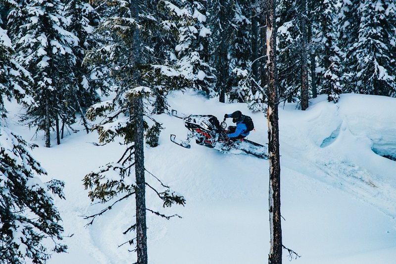 winter forest sledding in Nakusp British Columbia - Photo by Taylor Aeichele