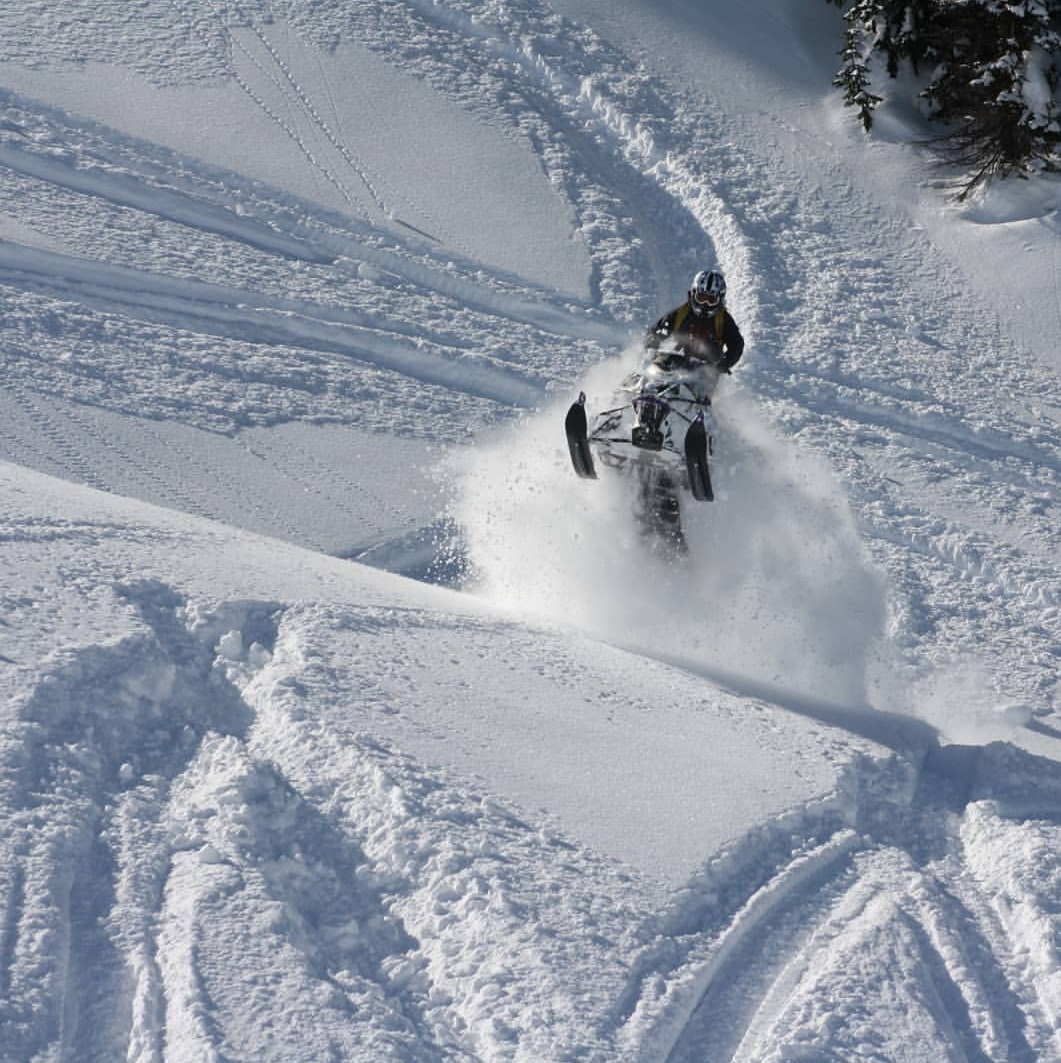 Sledding fun in Ingersol Mountain near Makusp, British Columbia. Photo by Alex Marshall 