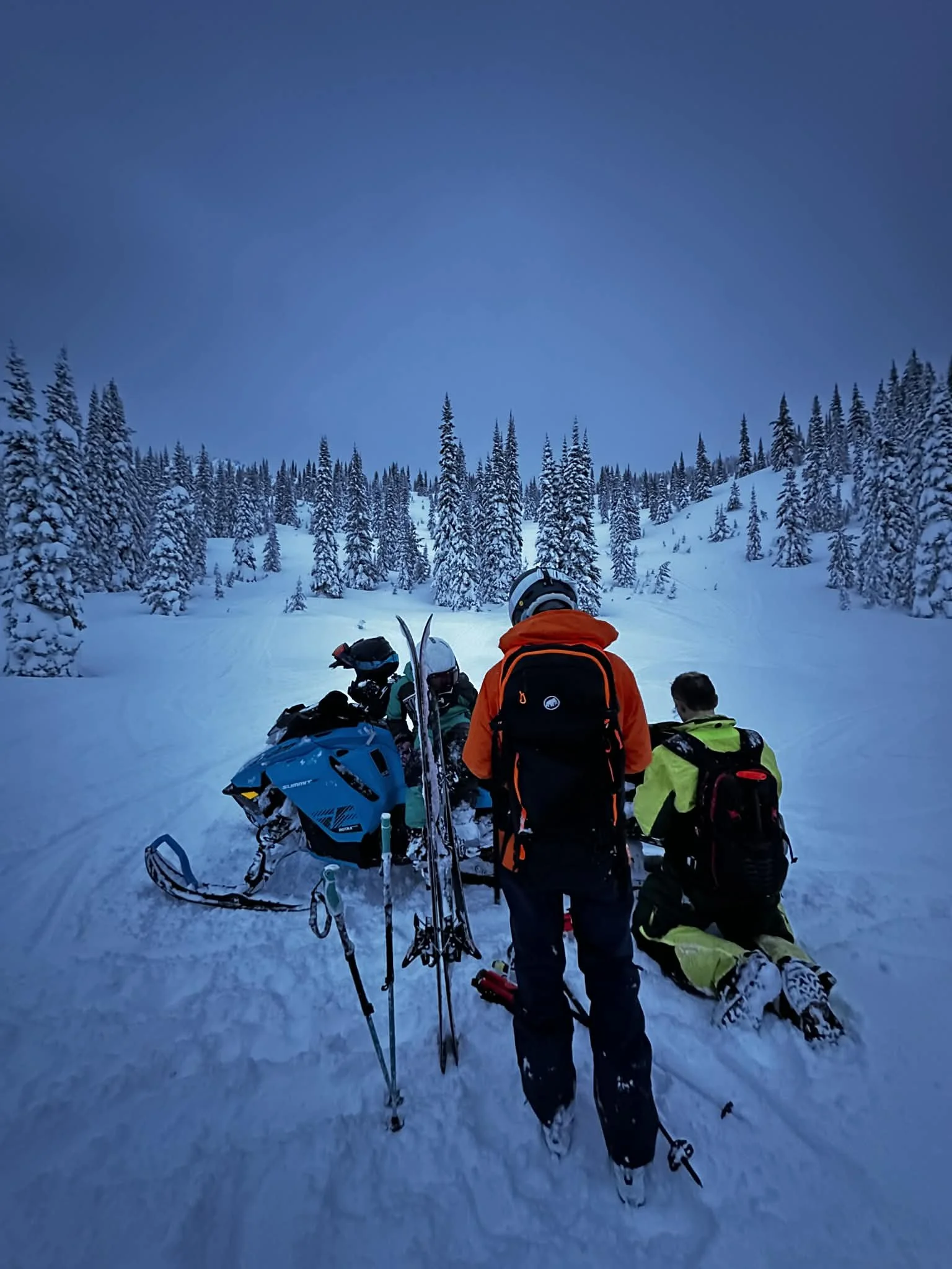 Group of skiers in snow-covered forest preparing for a snowmobiling trip
