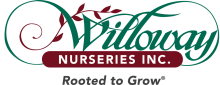 GLTE Sponsor 11 - Willoway Nurseries logo.png