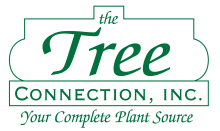 GLTE Sponsor 17 - The Tree Connnection logo.png